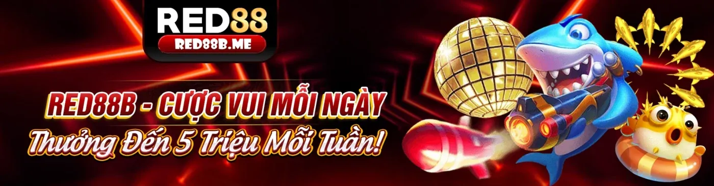 Hình ảnh giới thiệu Kwin Link Vào, nền tảng cá cược trực tuyến hàng đầu